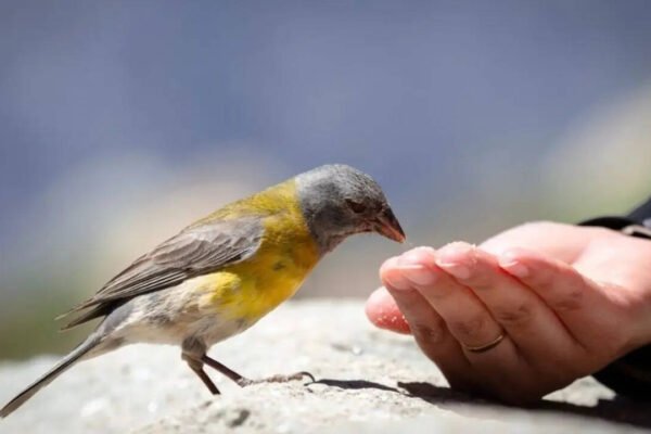 Daily sacred rituals to enhance your Good Luck