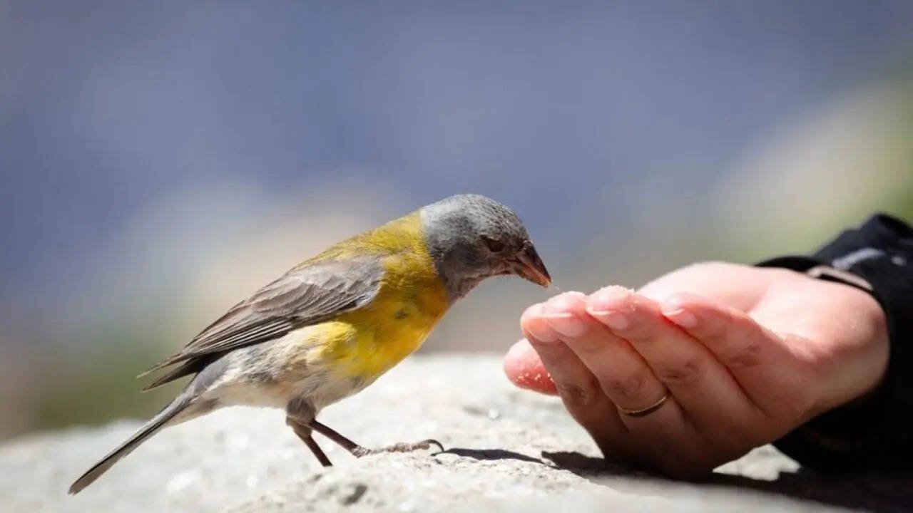 Daily sacred rituals to enhance your Good Luck
