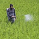 Bengal ranks high in agriculture and health, low in environment and public infra: Report | Kolkata News