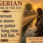 Nigerian proverb of the day: “A person who stares at the gutter for a long time will kill fish” and a lesson in patience, persistence and reward | World News