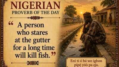 Nigerian proverb of the day: “A person who stares at the gutter for a long time will kill fish” and a lesson in patience, persistence and reward | World News