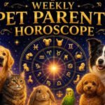 Weekly Pet Parents Horoscope, June 07 to June 13, 2026: What the stars say about your bond with your pets