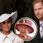 Tensions Before Harry and Meghan’s Royal Wedding: Insights from Queen Elizabeth II’s Confidante |