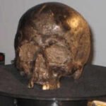 Scientists found a 2,600-year-old brain inside an Iron Age skull and it was still intact |