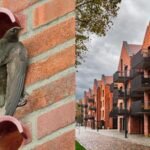 Scotland changed its buildings forever to save disappearing birds: Tiny ‘swift bricks’ will now be built into new homes | World News