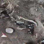 Pompeii Bakery: Two skeletons found inside a Pompeii bakery may be the key to an unsolved eruption mystery hidden beneath for nearly 2,000 years | World News