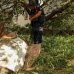 UAE condemns Iranian attacks on Bahrain, Kuwait; reiterates full solidarity with Gulf neighbours