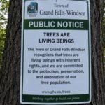Why a Canadian town has officially recognised trees as living beings with rights | World News