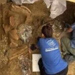 A 2,500-year-old warrior prince tomb found in Italy had a chariot, helmet and weapons still inside