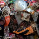 A landlord company managing 300 rental homes has been fined £42,500 after paramedics found tenants sleeping on floors surrounded by dead rats and human waste