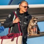 Watch: Erling Haaland arrives home carrying a ‘Raccoon’, breaks silence on viral companion | Football News