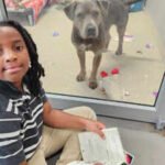 An 11-year-old boy is bringing storytime to shelter animals, reading to dogs and cats so they feel calmer while waiting for forever homes