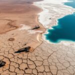 The Aral Sea’s disappearance became one of the world’s greatest environmental disasters, but one corner refused to die |