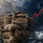 Afghanistan: The Taliban’s Trojan horse: What really happened after Afghanistan’s opium ban