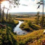 An American gambler spent  million buying 54,000 acres of logged Florida land. Eight million longleaf pines later, a lost forest is returning | World News