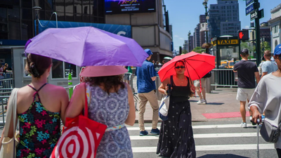 ‘France, Belgium & The Netherlands saw 3,700 excess deaths in heatwave’