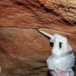 For the first time, scientists have recovered ancient DNA left behind on cave walls and rock art, opening a new way to study the people who made prehistoric art thousands of years ago