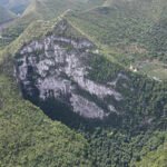 China’s giant sinkholes are protecting an endangered magnolia tree, but they may also be trapping its future