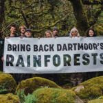 Duchy: Prince William’s Duchy of Cornwall is helping double one of England’s last surviving temperate rainforests, where 1,250 young trees have already been planted