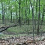 A Michigan woman owns 19 acres between two planned Toll Brothers communities; she is suing over her only access route and a proposed wastewater discharge