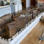 Bronze Age: How a 3,400-year-old Bronze Age log boat helped archaeologists uncover thousands of years of life along the River Trent | World News