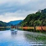 5 lakes with underwater forests: From Clear Lake to Caddo Lake | World News