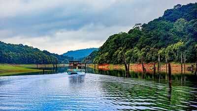 5 lakes with underwater forests: From Clear Lake to Caddo Lake | World News