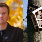 A scientist built 200 hotels for bees. Three years later, the guests he found changed what we know about pollinators and biodiversity |