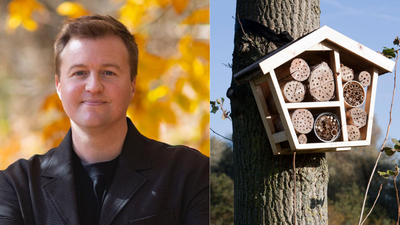 A scientist built 200 hotels for bees. Three years later, the guests he found changed what we know about pollinators and biodiversity |