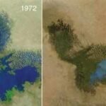 Africa’s Lake Chad has shrunk by 90% since 1960, now the government is paying  billion to redirect water from the Congo River Basin into the lake