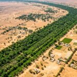 After the Great Wall of China, Africa is building an 8,000-km ‘Wall of Trees’ to fight climate change, restore land and feed millions |