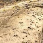 Ancient footprints found in Kenya reveal how early human relatives may have travelled and lived together 1.43 million years ago | World News