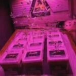 Astronaut reveals the tiny glowing garden inside the International Space Station where scientists are learning how to grow food for future Moon and Mars missions |