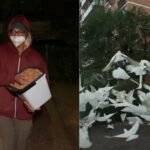 Australia’s mysterious ‘Birdman’ has spent two years feeding birds in the middle of the night, leaving the neighbourhood plagued by a daily ‘poo explosion’ | World News