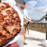 Bring a python, get a pizza: A Florida restaurant is giving away free ‘python pizza’ if you bring a Burmese python caught in the Everglades | World News