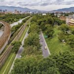 Colombia planted 880,000 trees across the streets of one city to tackle rising temperatures, and the plantation delivered localised cooling of up to 5°C in shaded areas |