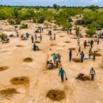 After decades of drought, water is returning to the south of the Sahara Desert as ancient farming techniques and the Great Green Wall breathe new life into the Sahel |