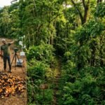 Costa Rica covered a dead pasture with 12,000 tonnes of orange peel. Sixteen years later, scientists found a thriving forest | World News