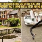 A couple bought their dream home and got the keys, only to discover the property was a snake habitat after moving in