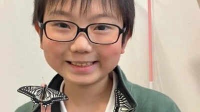 Did the butterflies remember him? Japanese student’s discovery uncovers astonishing insect memory |
