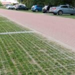 Dutch cities are replacing solid concrete surfaces with grass-filled paving blocks that absorb rainwater and help keep urban areas cooler |