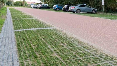 Dutch cities are replacing solid concrete surfaces with grass-filled paving blocks that absorb rainwater and help keep urban areas cooler |