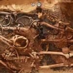 Ancient Egyptian Tombs: Excavation uncovers 18 ancient Egyptian tombs with golden tongues for afterlife |