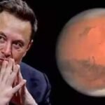 Elon Musk says a future on Mars could help humanity survive pandemics, AI and global disasters |