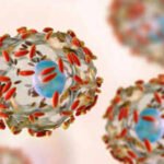 Explosive stomach infection hits US, how the parasite Cyclospora makes people unwell and what researchers know so far about its source