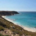 Feral cats erased 11 native species from this Australian island. Scientists are bringing back two truffle-eating marsupials to rebuild it |