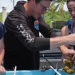 Florida scientists bring endangered elkhorn coral ashore fearing another heatwave could drive it to extinction | World News