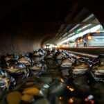 France built special underground tunnels beneath its roads to help thousands of migrating frogs and salamanders survive every year | World News