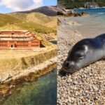 From prison to paradise: Once a dreaded prison island, this remote haven in Greece is now protecting one of the world’s rarest seals | World News