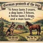 German proverb of the day: “A fence lasts 3 years, a dog lasts 3 fences, a horse lasts 3 dogs, and a man lasts…” – a timeless lesson on life’s seasons and the value of time | World News